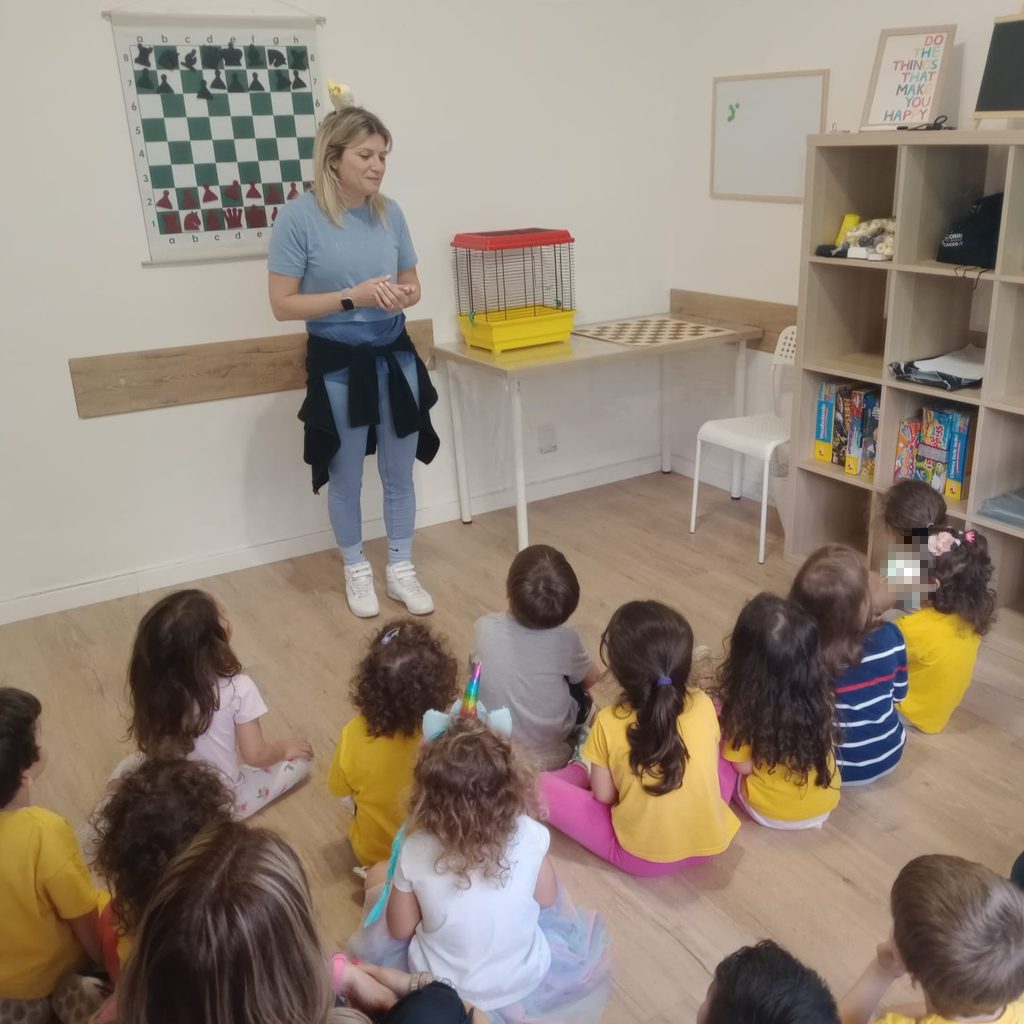news_playschool_lime_3