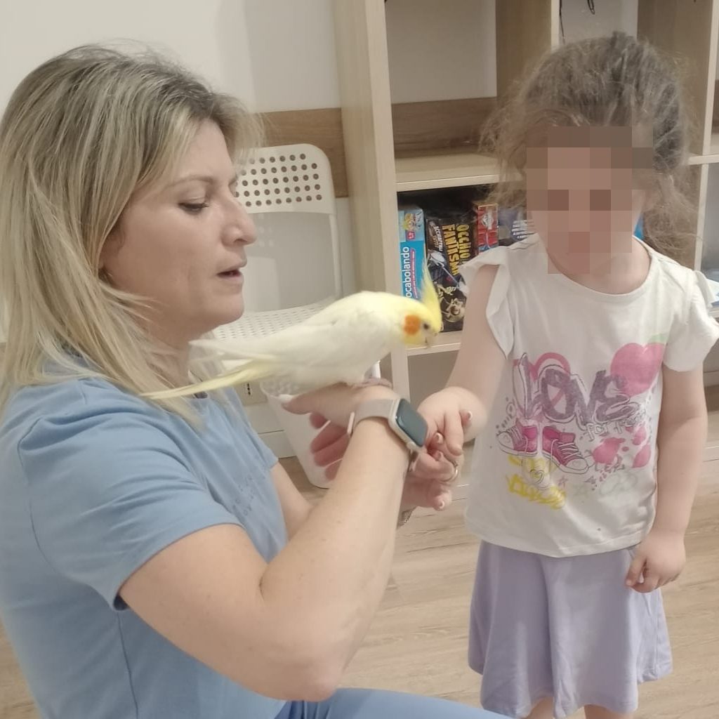 news_playschool_lime_4