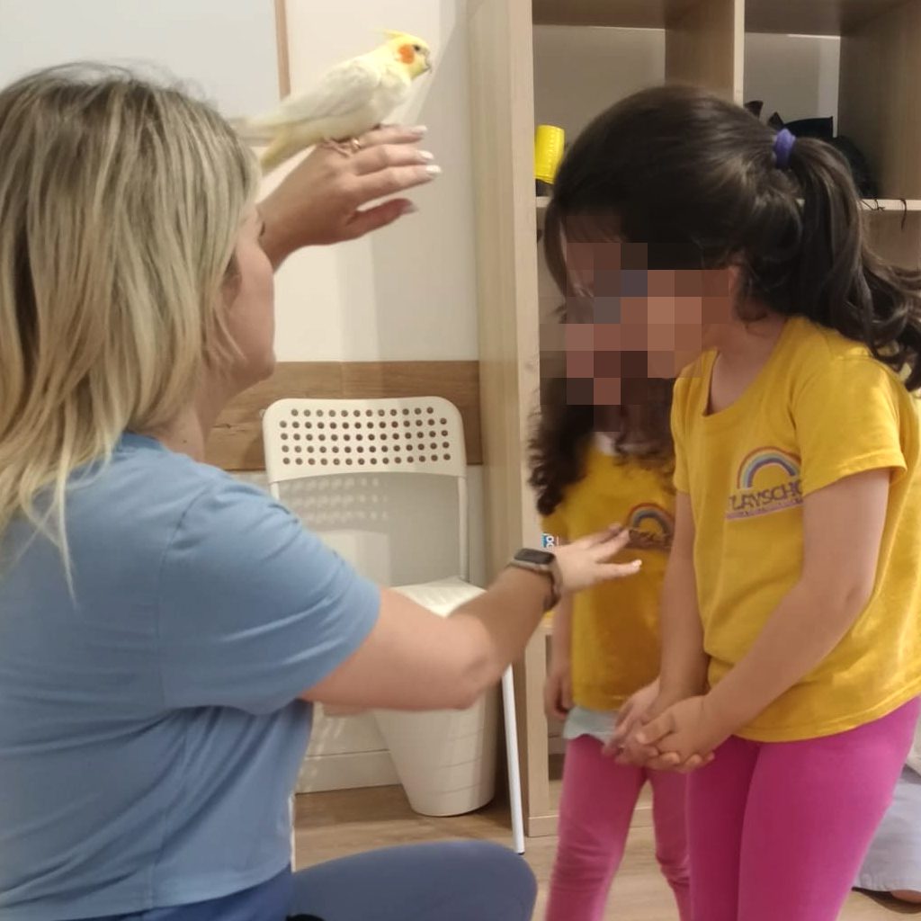 news_playschool_lime_5
