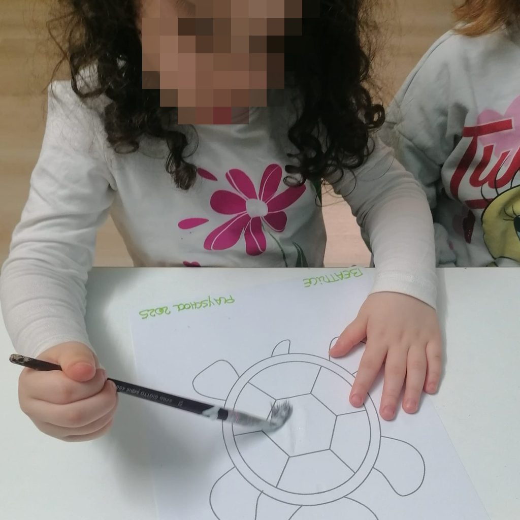 news_playschool_tartaruga_2