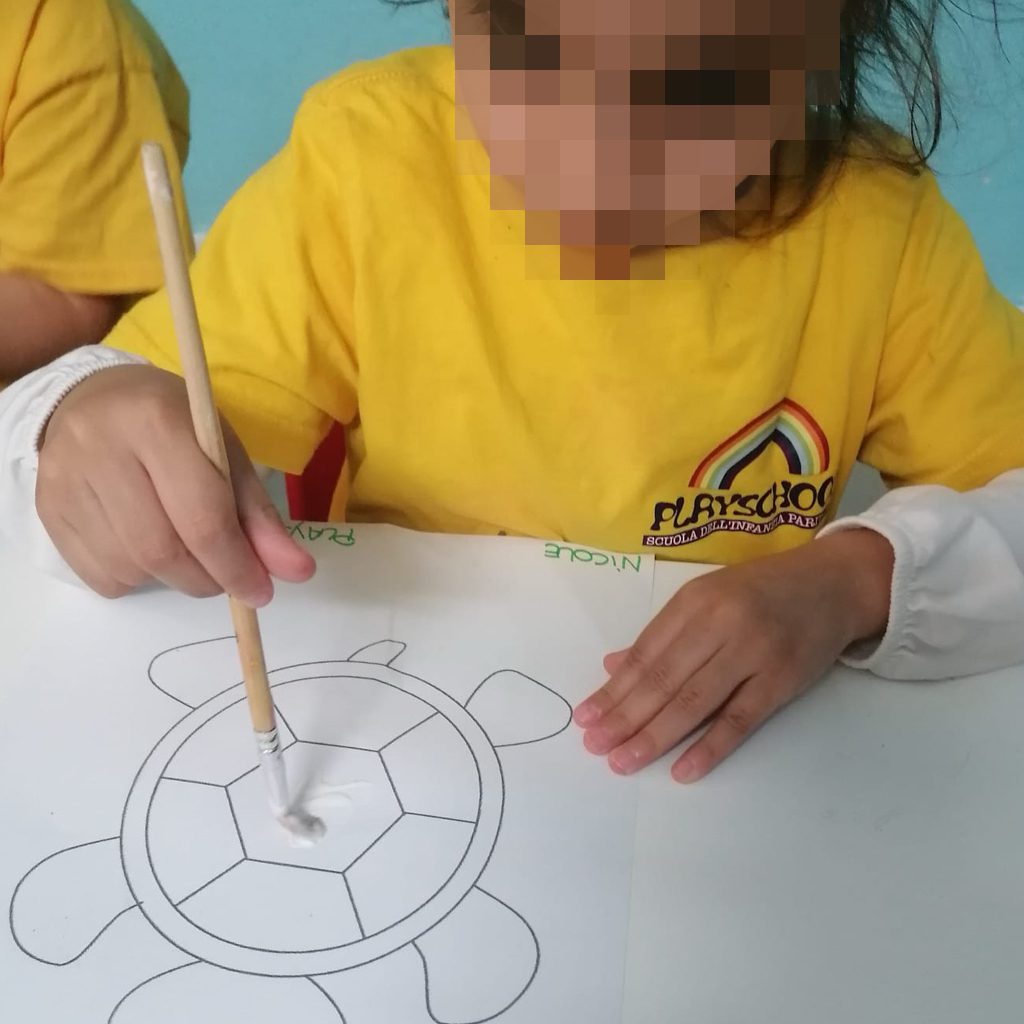 news_playschool_tartaruga_3