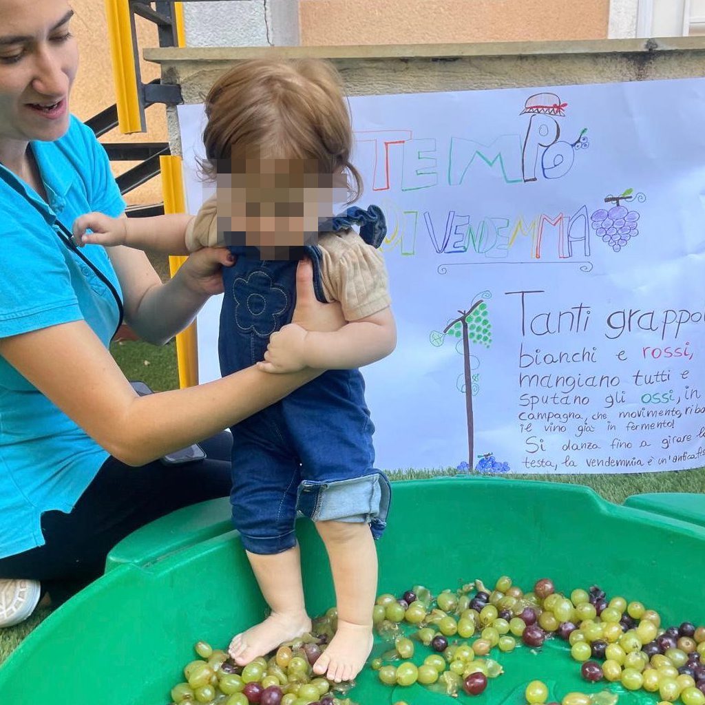 news_playschool_vendemmia_nido_13