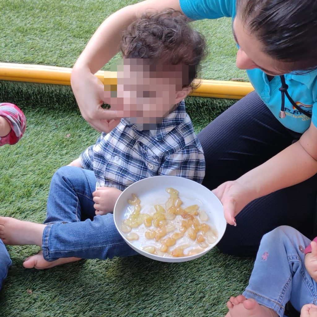 news_playschool_vendemmia_nido_4