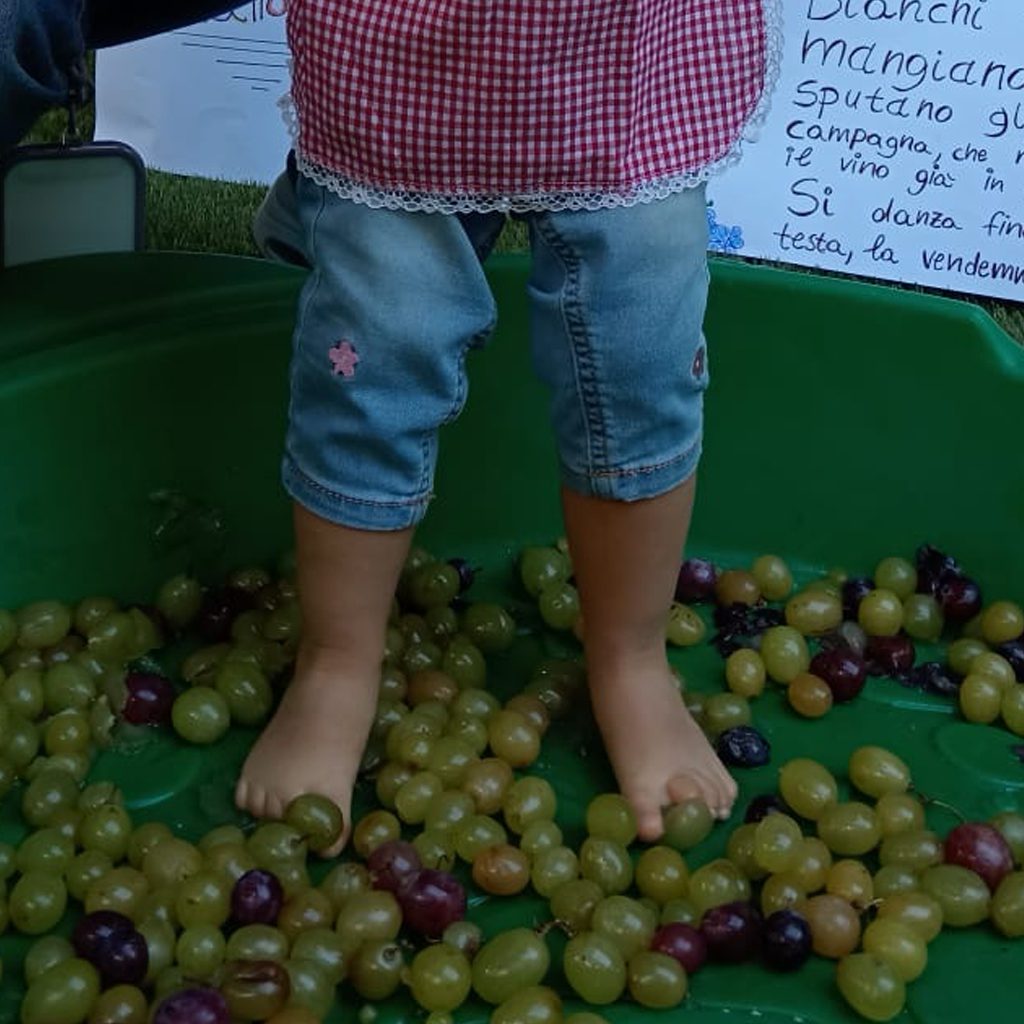 news_playschool_vendemmia_nido_7
