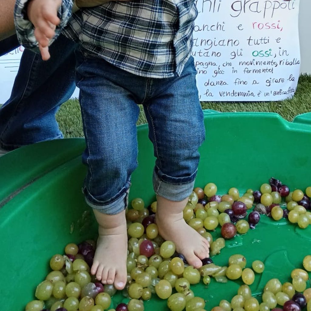 news_playschool_vendemmia_nido_8