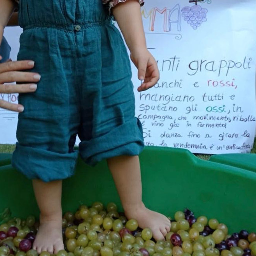 news_playschool_vendemmia_nido_9